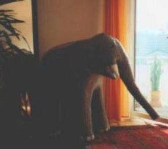Elefant aus Pappe